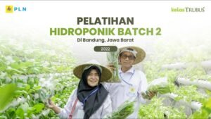 Bertani di Lahan Sempit: Optimalkan Ruang, Raih Hasil Maksimal