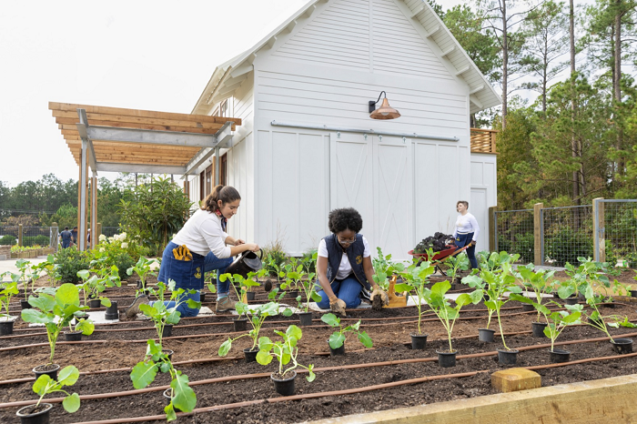 Bisnis Berkebun: Menghijaukan Dompet dengan Sentuhan Alam
