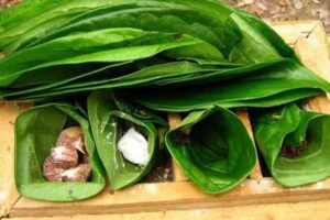 Budaya Kuliner Nusantara: Warisan Rasa, Identitas Bangsa