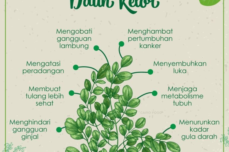 Curling: Olahraga yang Mengasah Otak Selain Melatih Fisik
