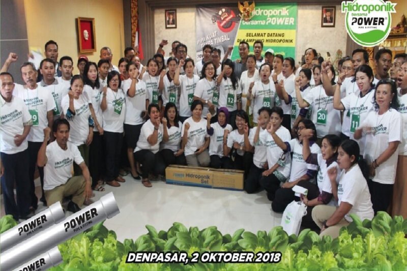 Hidroponik: Solusi Hijau untuk Lingkungan yang Lebih Sehat dan Berkelanjutan