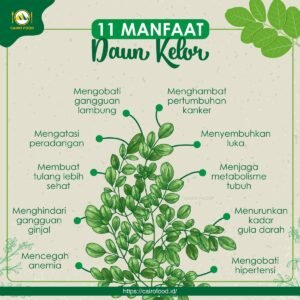 Manfaat Latihan Kardio: Investasi Terbaik untuk Kesehatan Jantung dan Kebugaran Optimal