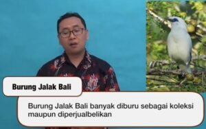 Menyelamatkan Harta Karun Bumi: Menjelajahi Dunia Hewan yang Hampir Punah dan Upaya Konservasi yang Krusial