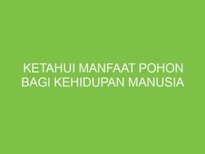 Pohon: Anugerah Kehidupan dan Pilar Keseimbangan Ekosistem