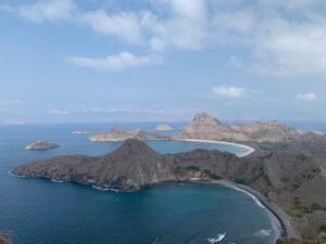 Politik Biodiversitas 2025: Antara Ambisi, Implementasi, dan Realitas