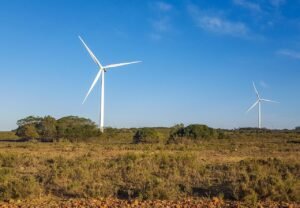 Politik Energi Hijau 2025: Ambisi, Tantangan, dan Realitas Baru
