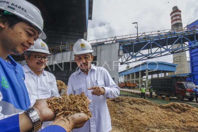 Politik Energi Terbarukan 2025: Mendorong Transisi Energi yang Berkelanjutan