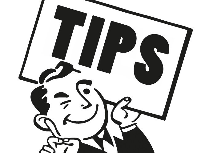 Tips Menanam Sayuran Organik: Panduan Lengkap untuk Kebun Sehat dan Hasil Panen Melimpah