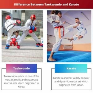 Karate vs. Taekwondo: Pertarungan Dua Raksasa Seni Bela Diri