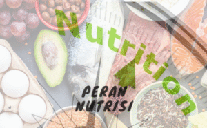 Tentu, mari kita susun artikel informatif mengenai peran karbohidrat dalam performa olahraga.