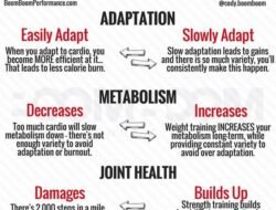 Cardio vs. Weight Training: Memahami Perbedaan dan Manfaatnya untuk Kesehatan Optimal